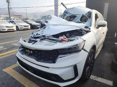 2023 Kia Sorento KNARK81GBPA167065 VIN:KNARK81GBPA167065