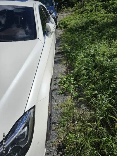 2017 Mercedes-Benz CLS 250 VIN: