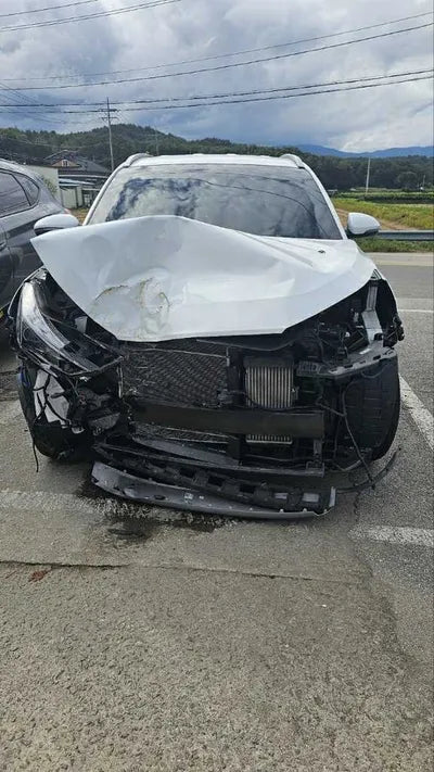 2019 Hyundai Tucson KMHJ581ADKU058096 VIN:KMHJ581ADKU058096
