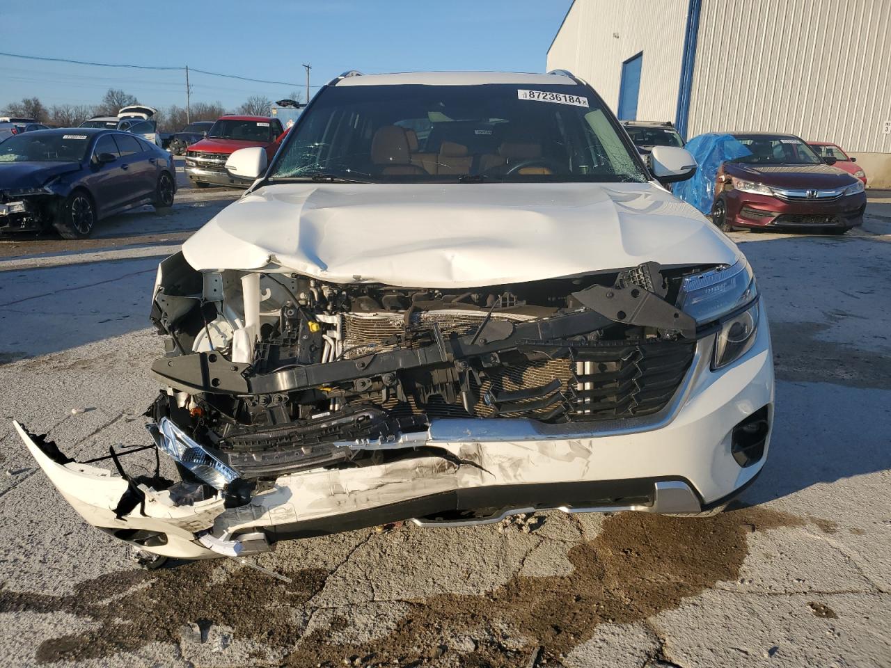 2024 KIA SELTOS EX VIN:KNDERCAA9R7564013