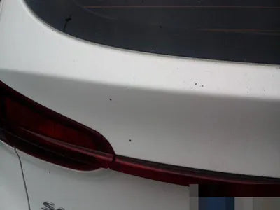 2021 Hyundai Santa FE KMHS381HGMU336284 VIN:KMHS381HGMU336284