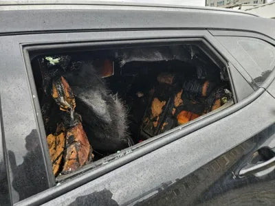 2019 Hyundai Tucson KMHJ3817GKU010907 VIN:KMHJ3817GKU010907