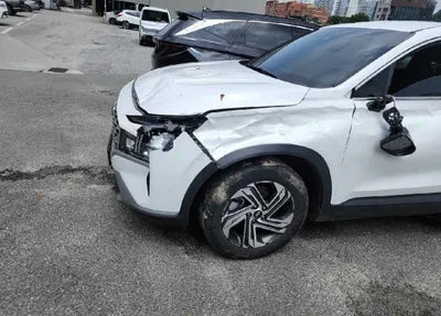 2021 Hyundai Santa FE KMHS281LGMU385620 VIN:KMHS281LGMU385620