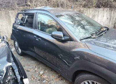 2020 Hyundai Kona KMHK4815GLU450978 VIN:KMHK4815GLU450978