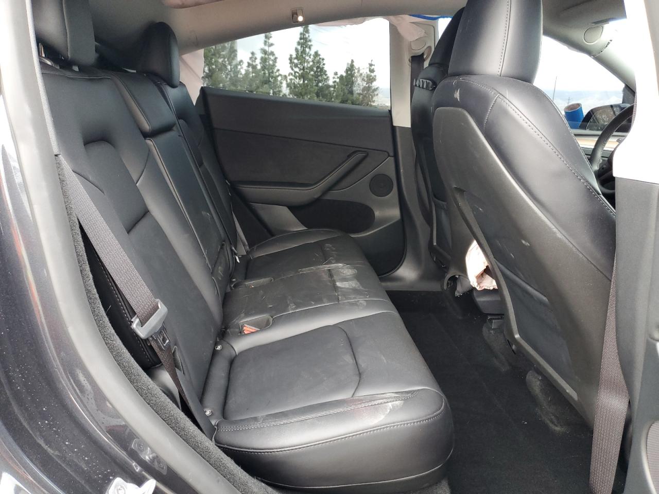 2024 TESLA MODEL Y  VIN:7SAYGDED0RF111859