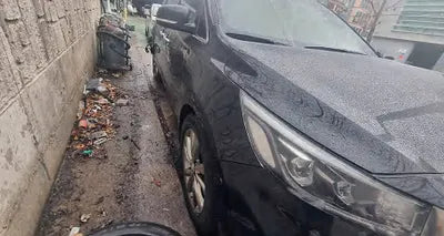 2019 Kia Carnival KNAME81ABKS499930 VIN:KNAME81ABKS499930
