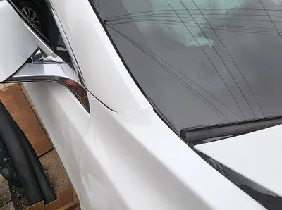 2019 Tesla Model 3 VIN: