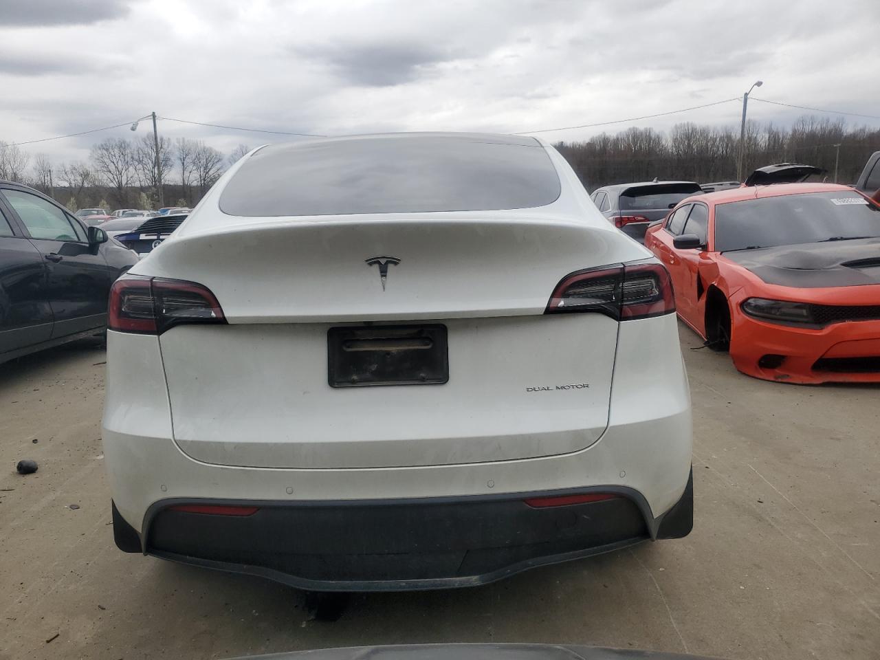 2022 TESLA MODEL Y  VIN:7SAYGDEE5NF571179