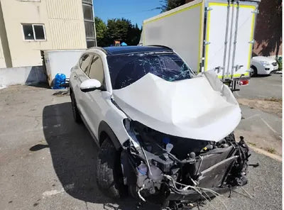 2018 Hyundai Tucson KMHJ5815GJU601402 VIN:KMHJ5815GJU601402