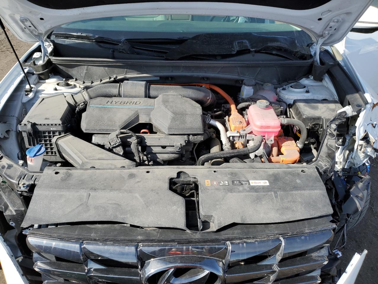 2024 HYUNDAI TUCSON SEL CONVENIENCE VIN:KM8JCCD1XRU169637