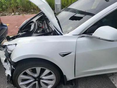 2020 Tesla Model 3 5YJ3E1EBXLF692496 VIN:5YJ3E1EBXLF692496