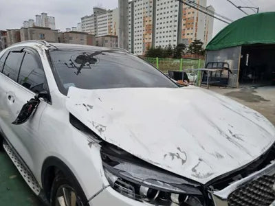 2016 Kia Sorento 954KMKNAPK81BDGA2 VIN:954KMKNAPK81BDGA2
