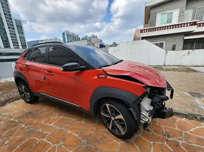 2018 Hyundai Kona KMHK5816GJU259493 VIN:KMHK5816GJU259493