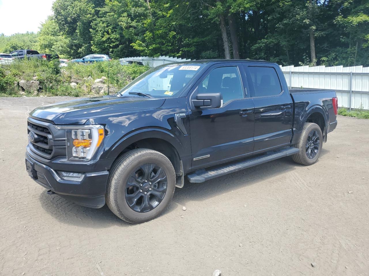 2023 FORD F150 SUPERCREW VIN:1FTFW1ED9PFB40162