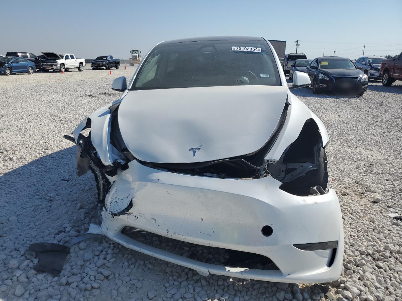 2024 TESLA MODEL Y  VIN:7SAYGDEE1RA279192