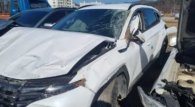 2021 Hyundai Tucson KMHJE811BMU009800 VIN:KMHJE811BMU009800