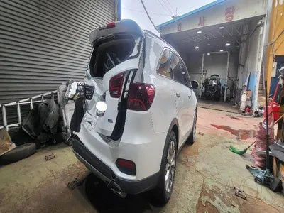 2018 Kia Sorento KNAPS81ABJA425227 VIN:KNAPS81ABJA425227