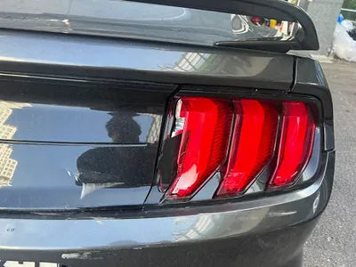 2019 Ford Mustang GT 1FA6P8CF4K5198632 VIN:1FA6P8CF4K5198632