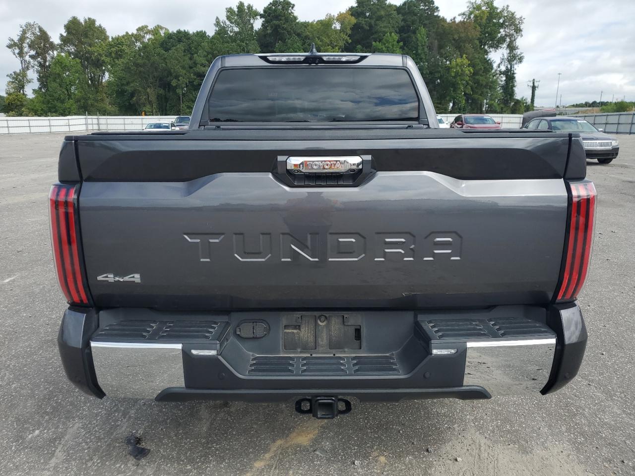 2023 TOYOTA TUNDRA CREWMAX PLATINUM VIN:5TFMA5DB8PX082231