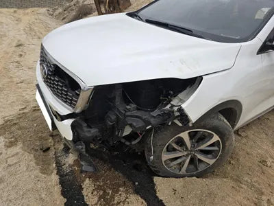 2019 Kia Sorento KNAPG81BDKA540068 VIN:KNAPG81BDKA540068