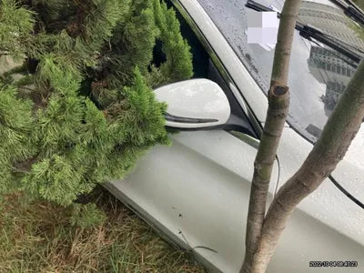 2019 Mercedes-Benz C 220 VIN: