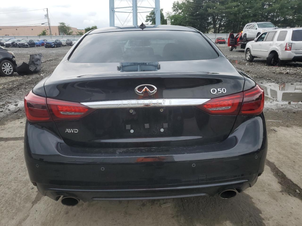 2023 INFINITI Q50 LUXE VIN:JN1EV7BR8PM541556