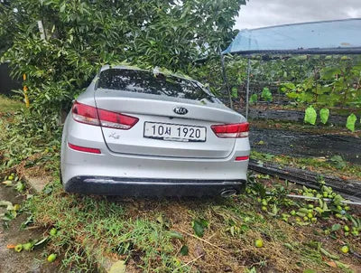 2020 Kia K5 KNAGT416BLA374613 VIN:KNAGT416BLA374613