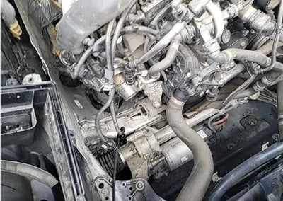 2019 BMW 520 WBAJK7102KBP74180 VIN:WBAJK7102KBP74180