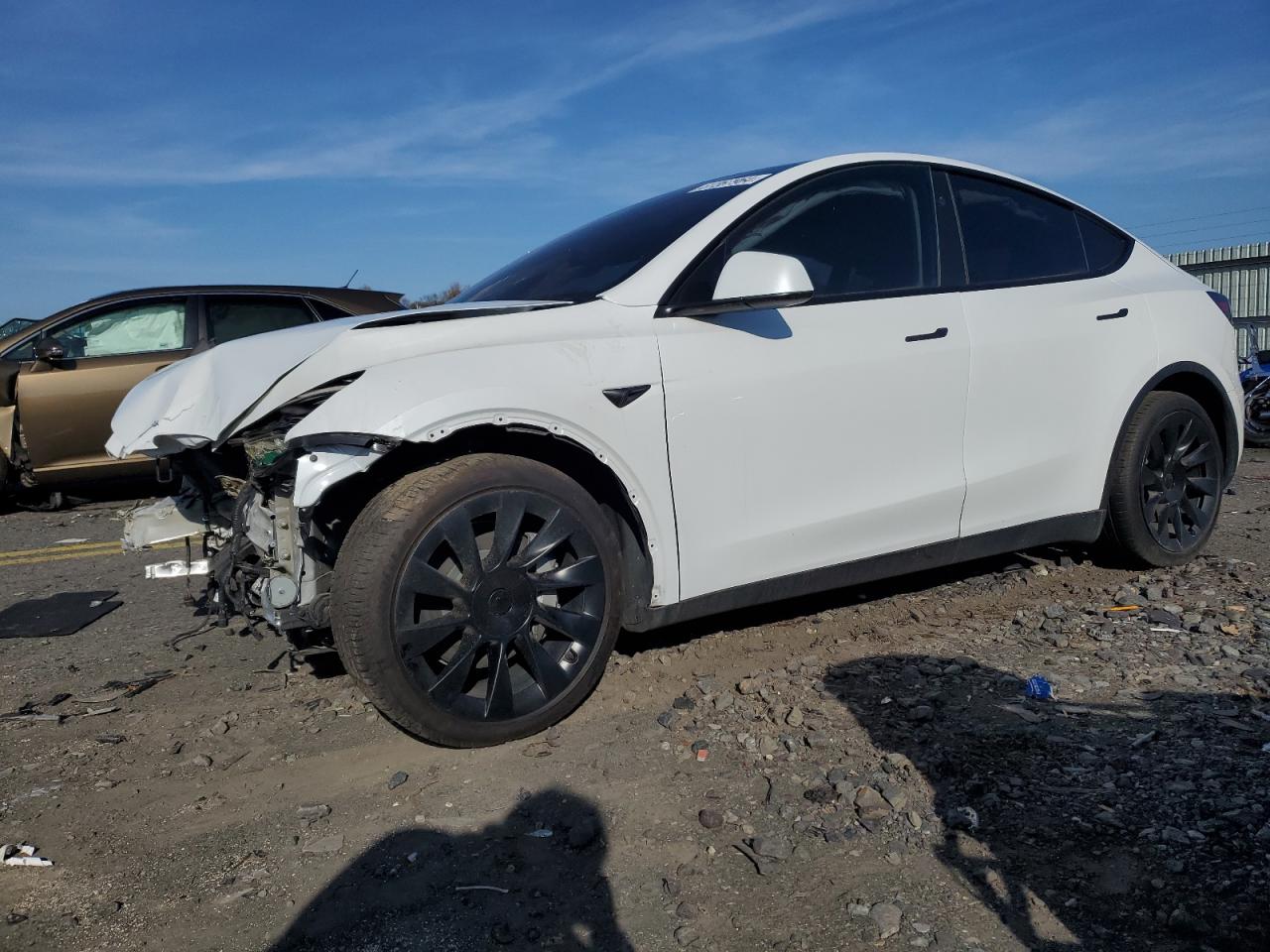 2024 TESLA MODEL Y  VIN:7SAYGAEE8RF037176