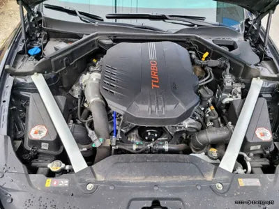 2020 Kia Stinger KNAE751CDLS070299 VIN:KNAE751CDLS070299