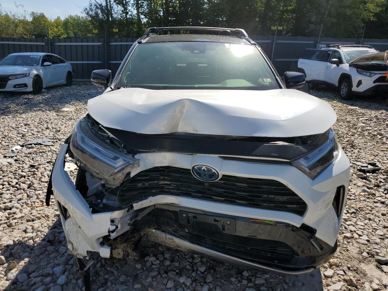 2022 TOYOTA RAV4 XSE VIN:JTME6RFV6ND529626