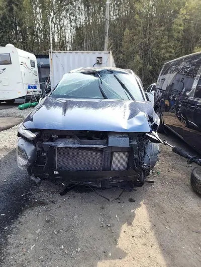 2019 Hyundai Santa FE VIN: