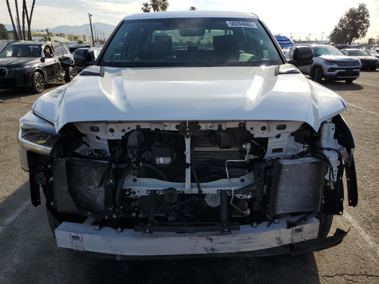 2024 TOYOTA TUNDRA CREWMAX LIMITED VIN:5TFWC5DB1RX047715