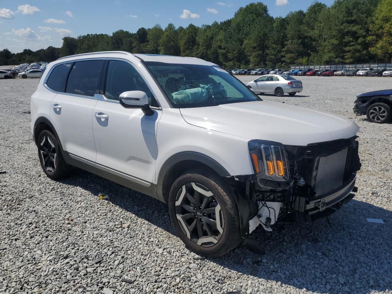 2024 KIA TELLURIDE S VIN:5XYP64GC6RG478970