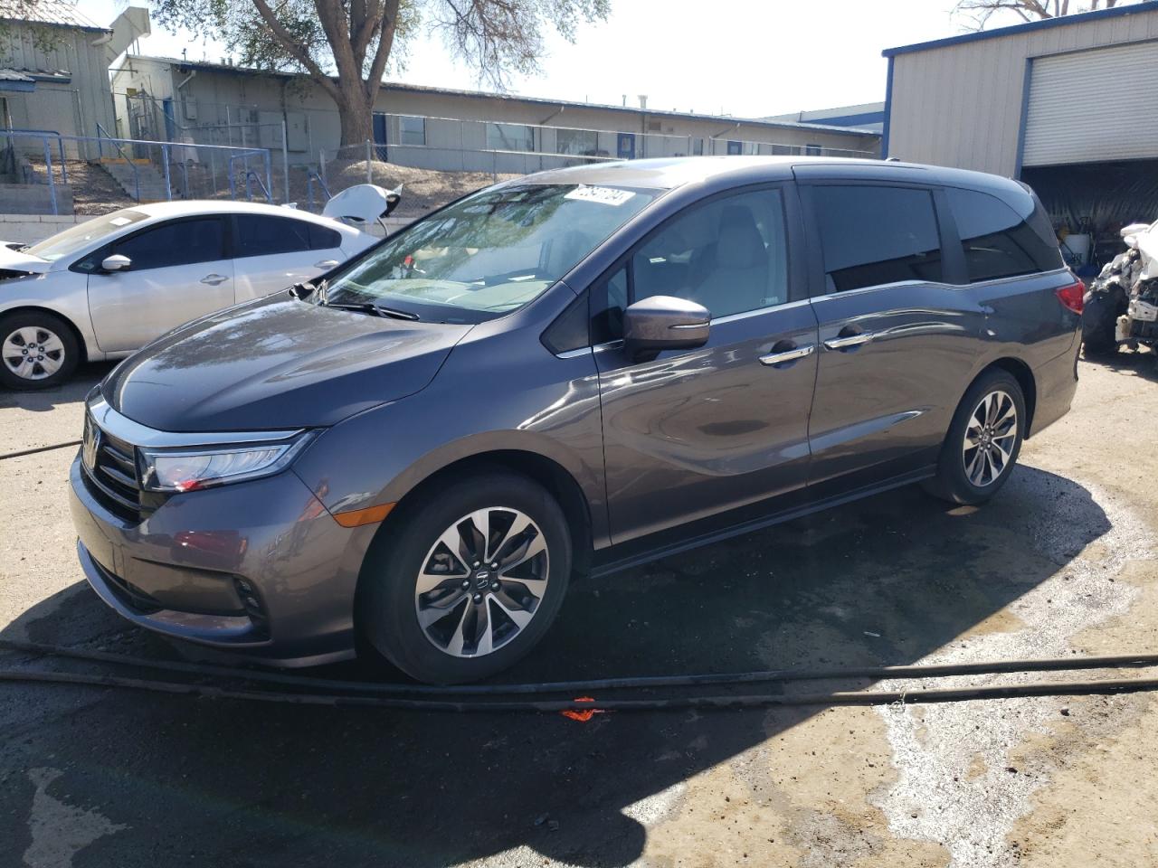 2023 HONDA ODYSSEY EXL VIN:5FNRL6H6XPB033691