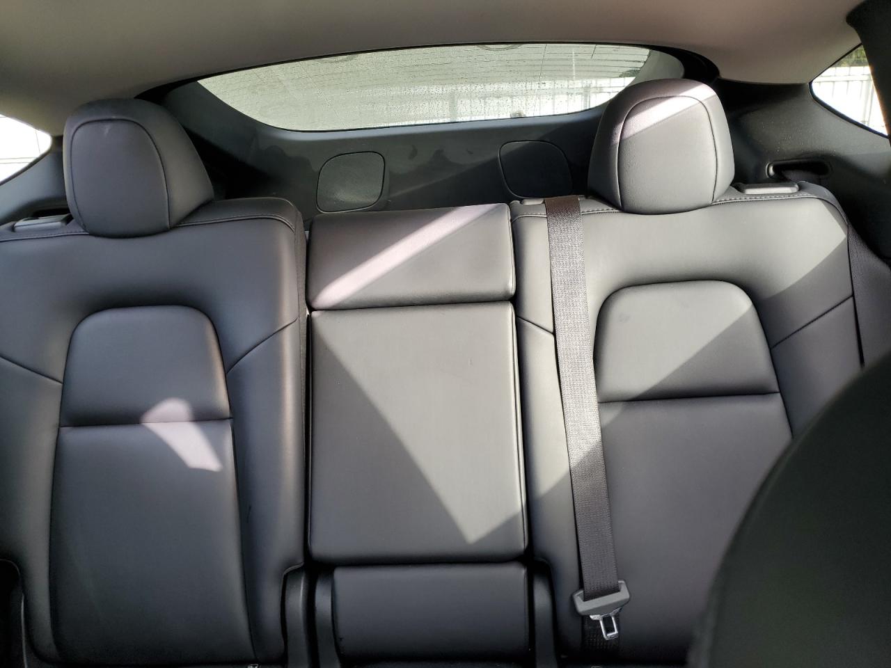 2024 TESLA MODEL Y  VIN:7SAYGDEEXRF119119