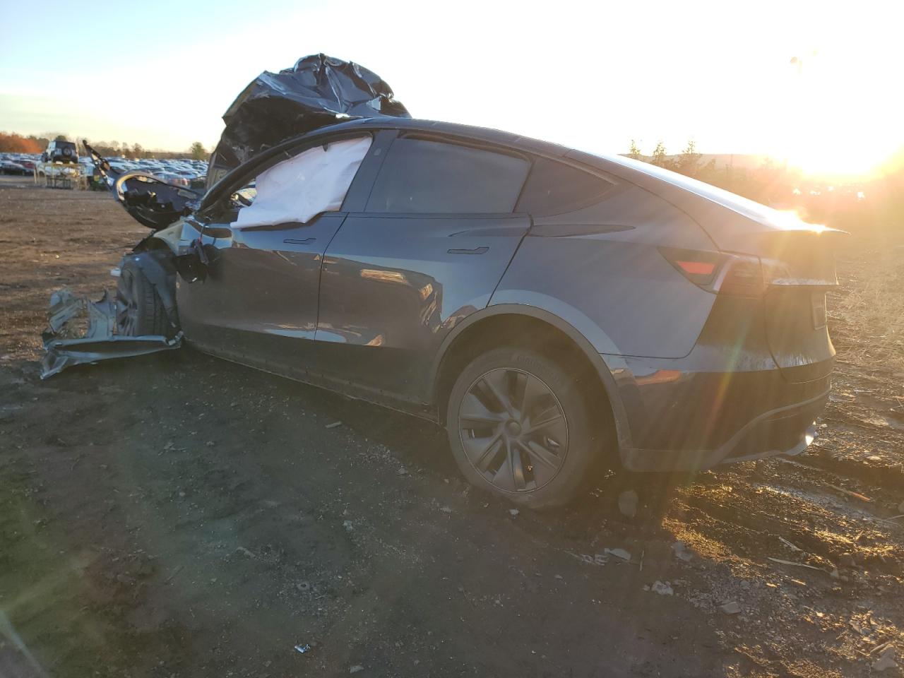 2024 TESLA MODEL Y  VIN:7SAYGDEE4RA319880