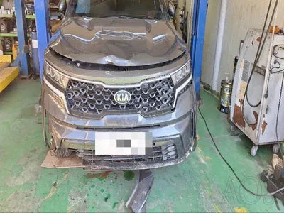 2021 Kia Sorento KNARJ81GBMA031676 VIN:KNARJ81GBMA031676