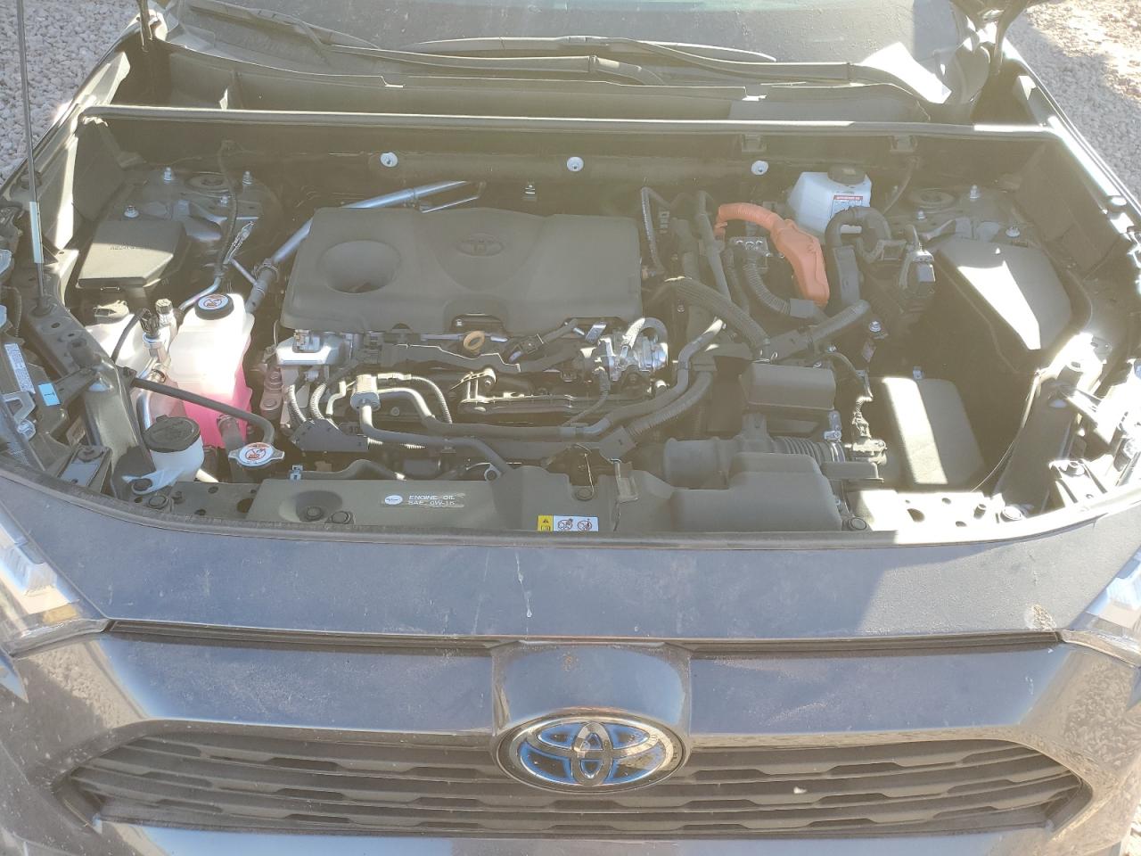 2023 TOYOTA RAV4 XLE VIN:4T3RWRFV7PU100390