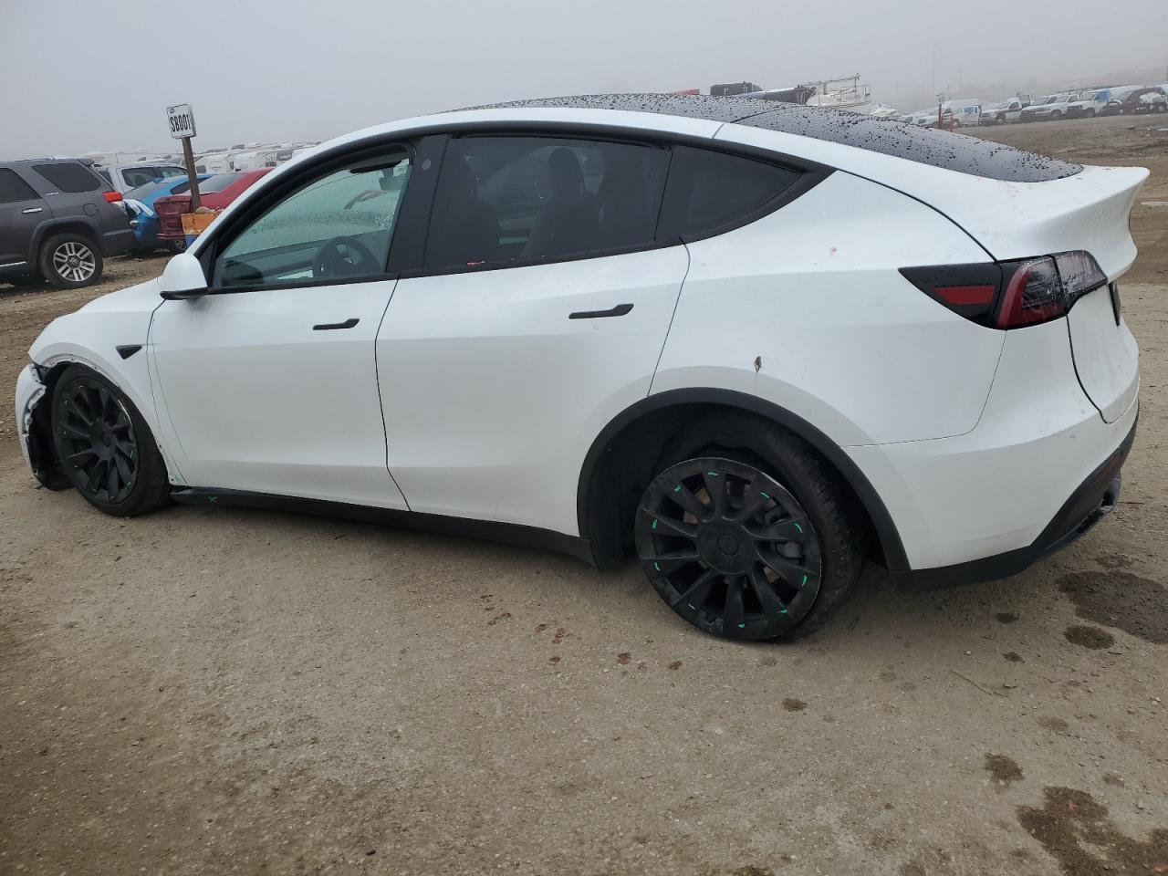 2023 TESLA MODEL Y  VIN:7SAYGAEE8PF661282