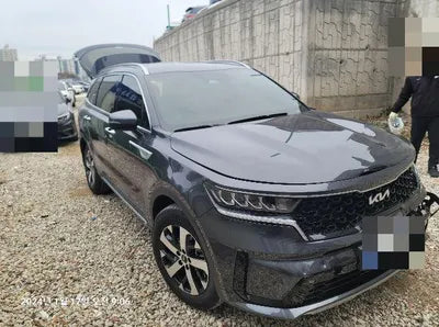 2023 Kia Sorento KNARL81BGPA239933 VIN:KNARL81BGPA239933