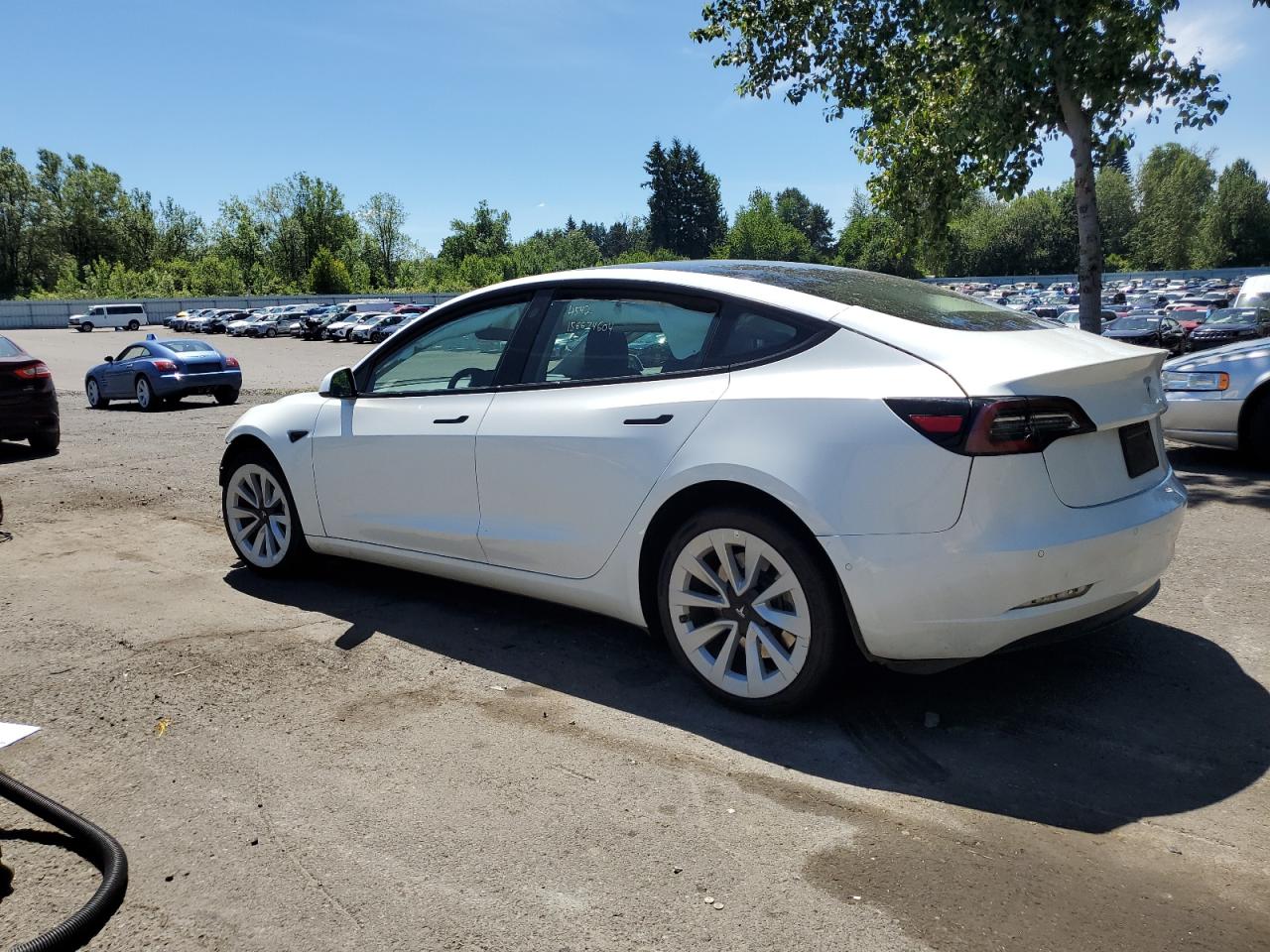 2022 TESLA MODEL 3  VIN:5YJ3E1EA5NF369211