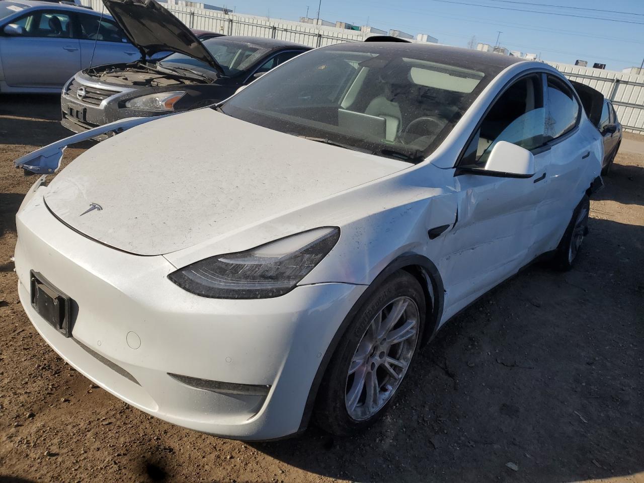 2022 TESLA MODEL Y  VIN:7SAYGDEE2NF320068