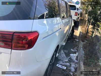 2020 Kia Carnival KNAMB81ABLS655217 VIN:KNAMB81ABLS655217