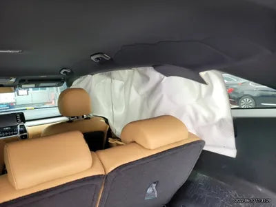 2022 Kia Sorento KNARL81GBNA105043 VIN:KNARL81GBNA105043