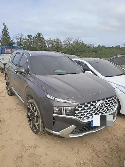 2021 Hyundai Santa FE KMHS381LHMU394906 VIN:KMHS381LHMU394906