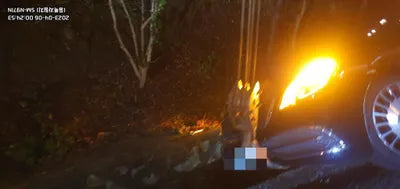 2015 Mercedes-Benz S 500 WDDUG8FB5FA133818 VIN:WDDUG8FB5FA133818