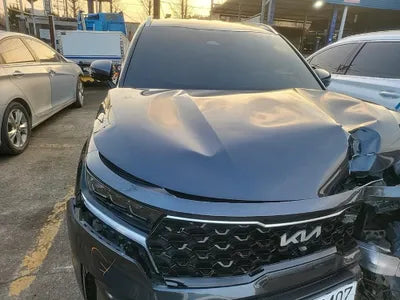 2022 Kia Sorento KNARF81GBNA119324 VIN:KNARF81GBNA119324