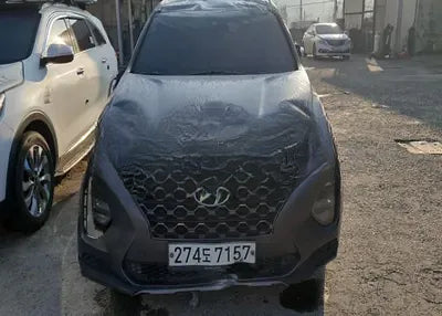 2020 Hyundai Santa FE KMHS281BBLU263786 VIN:KMHS281BBLU263786