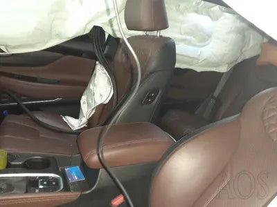 2019 Hyundai Santa FE KMHS581ABLU247207 VIN:KMHS581ABLU247207